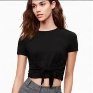 Aritzia Wilfred Crop Top